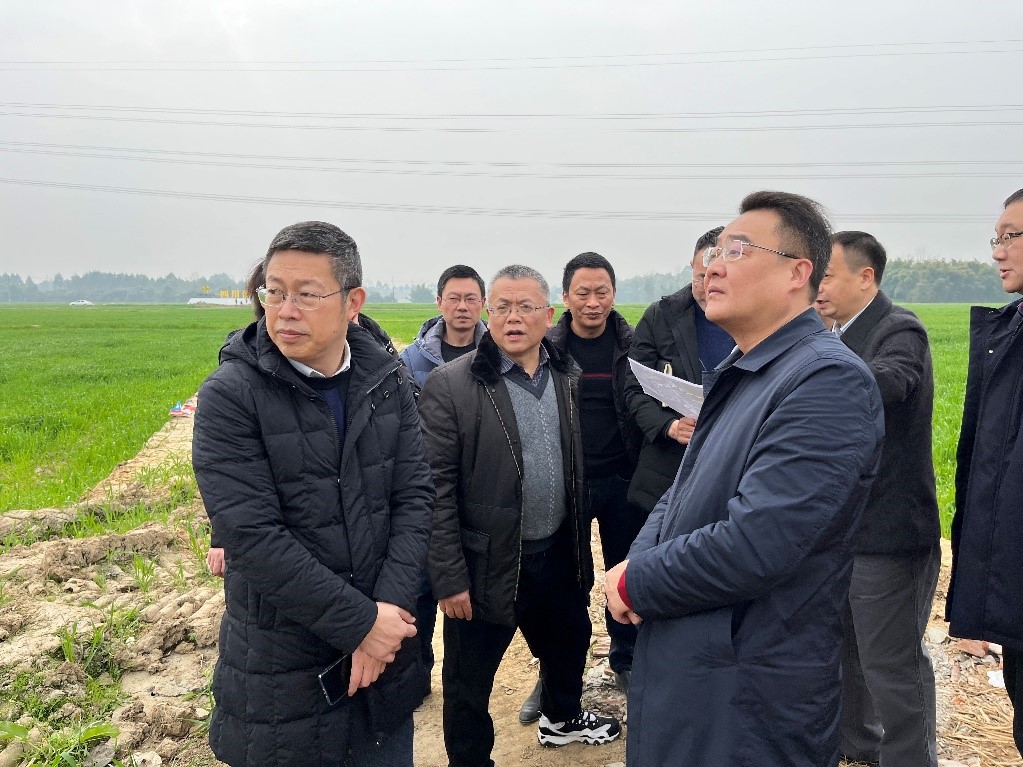 省社、省供投集團領(lǐng)導調(diào)研青白江區(qū)四川現(xiàn)代供銷種業(yè)園區(qū)