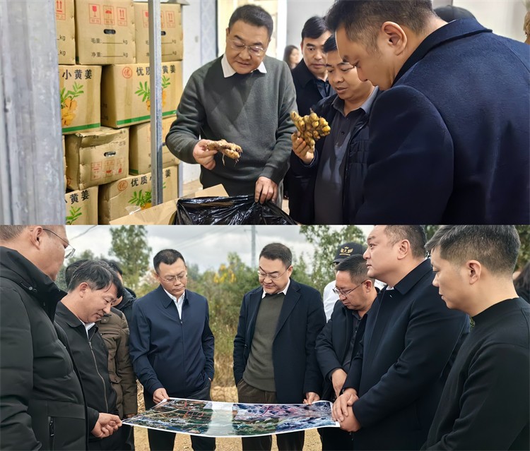 集團公司赴文山州調研小黃姜產(chǎn)業(yè)園項目